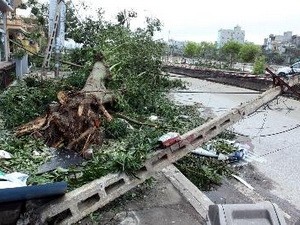 Typhoon aftermath in Thai Binh Province (Photo: VNA) Typhoon aftermath in Thai Binh Province (Photo: VNA)